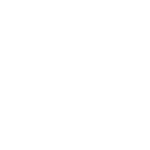 Maximización recupero