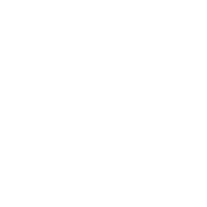 Seguridad garantizada